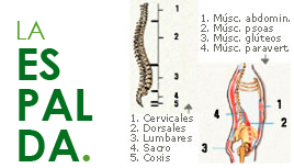 La espalda - La silla